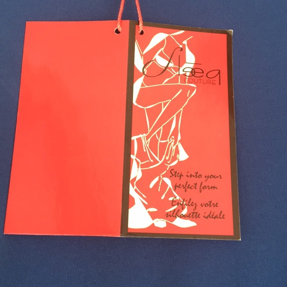 NEW WITH TAGS! Sleeq Lined with Control Panels Blue Dress 3029 - Picture 5 of 10